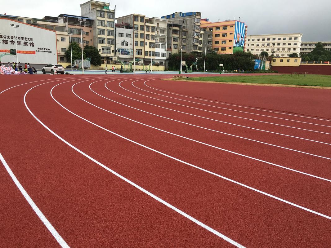 阿坝藏族羌族自治州篮球场塑胶跑道材料 - 厂家